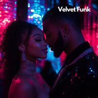 Velvet Funk