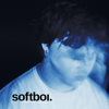 softboi - The Call artwork