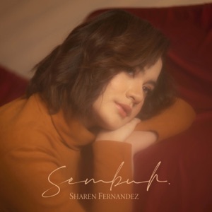 Sembuh Album Art