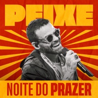 Noite do Prazer - Single - Alexandre Peixe