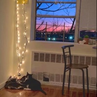 Silly Needs (feat. Kensley) - Single - Emental