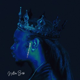 Paralyze Nation Boss & Tekktroniic