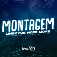 Montagem Linexyus Hoed Moye (feat. Mc Gw, DJ BOSÃO & DJ M4 ORIGINAL) - Single - DJ RK Original & FreesTyle Sounds