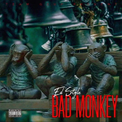 Bad Monkey