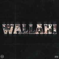 WALLAHI (feat. ELTHEEB) - Single - Lil Freeny