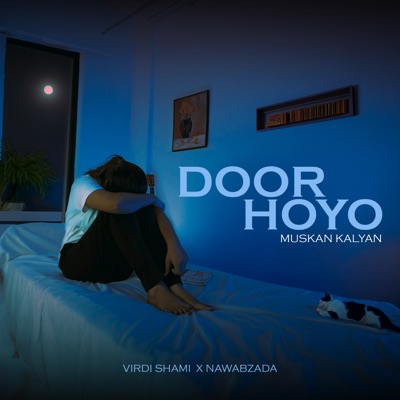 DOOR HOYO (feat. Nawabzada music & VIRDI SHAMI) - Single