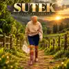 vicky Brilliance - Sutek