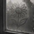 Always Sunflowers