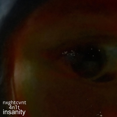 insanity (feat. nxghtcvnt) - Single