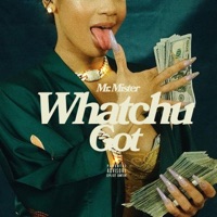 Whatchu Got - Single - Mr. Mister