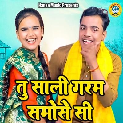 Tu Sali Garam Samose Si - Single