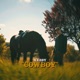 COWBOY Single