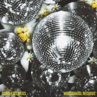 Disko-Edelweiss - Single - Glueboys