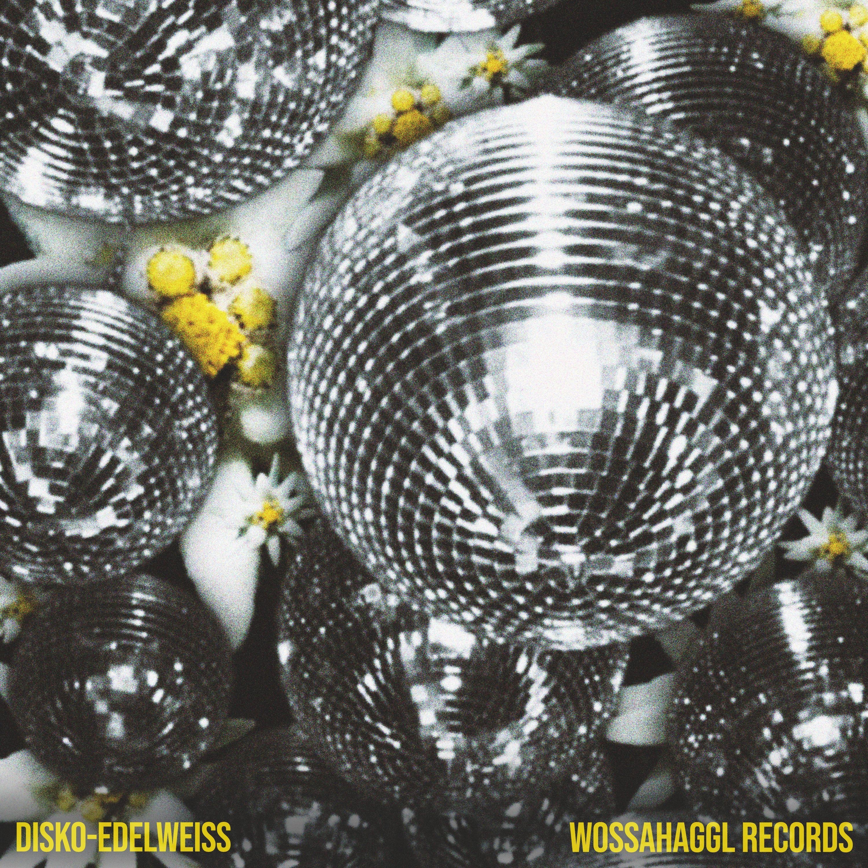 Disko-Edelweiss - Single