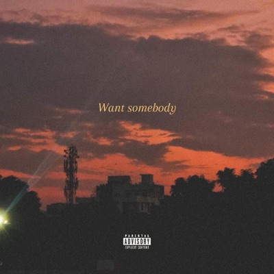 Want Somebody - Single
