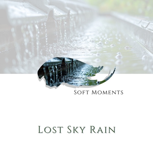 Lost Sky Rain