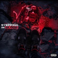 Stepping In Blood - Bloodhound Lil Jeff