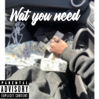 Wat you need (feat. Vybe & Tso9ina) - Single - J BULLY