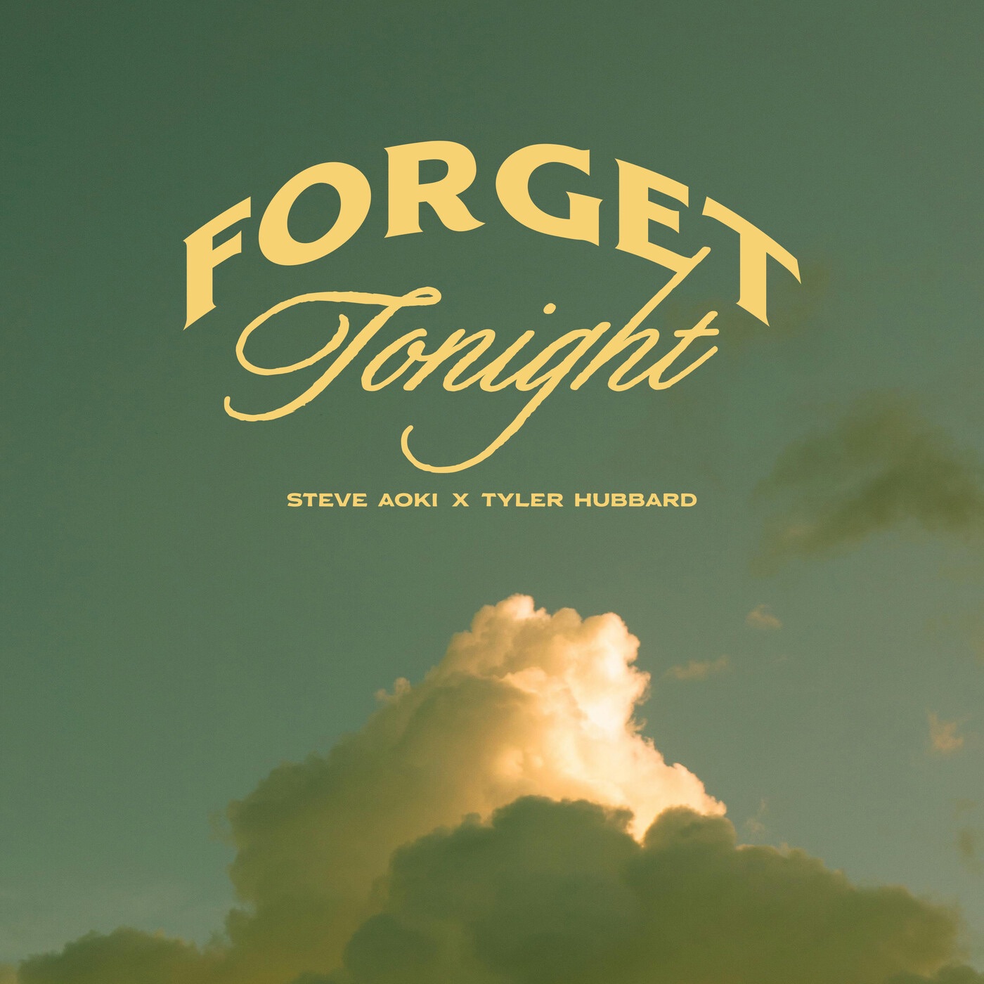Steve Aoki, Tyler Hubbard - Forget Tonight