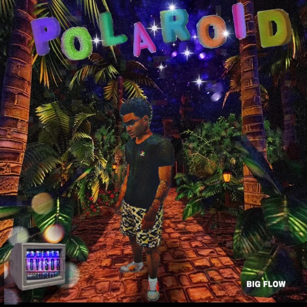 Polaroid - Single