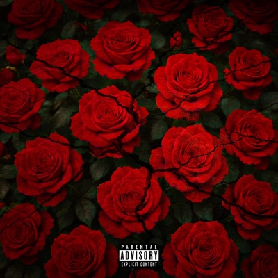 Stop and Smell the Roses