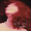 Koyu Ayna