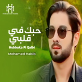 Hubbuka Fi Qalbi