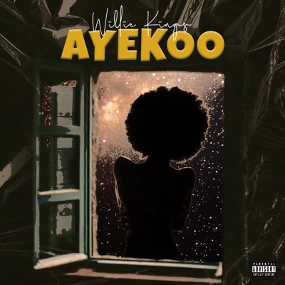 Ayekoo - Single