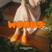 Words You Don't Understand - Single - The Fireside Sessions