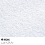 Candide - Single