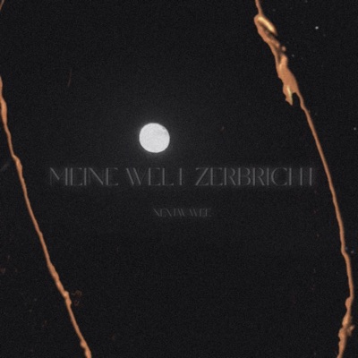meineweltzerbricht - Single