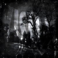 VISUAL - Single - vxidmxne