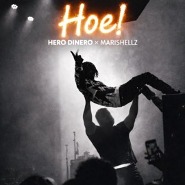 Hoe! (feat. Marishellz) Hero Dinero
