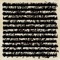 Type Shit - growing old and dying happy. lyrics