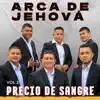 No Soy de Hierro