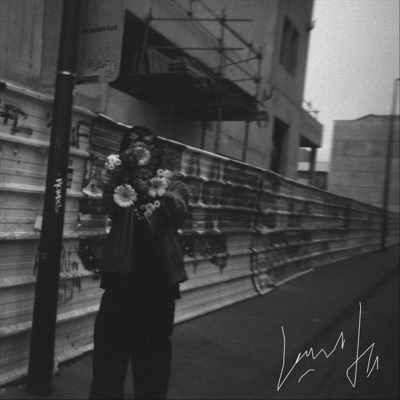 des jacinthes en plomb - Single