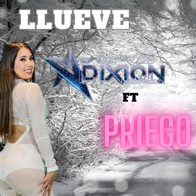 llueve (feat. Grupo Adixion I Love Cumbia) [cumbia Version] - Single