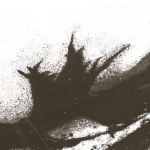 DIYSRL RMXS - Single
