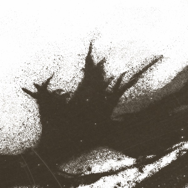 DIYSRL RMXS - Single