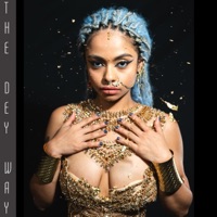 THE DEY WAY - Mohini Dey