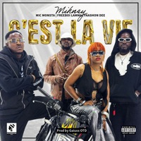 c'est la vie (feat. Mic Monsta, Freeboi Lamma & Faashon Dee) - Single - Mihney
