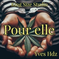 Pour elle - Single - Yves Hdz