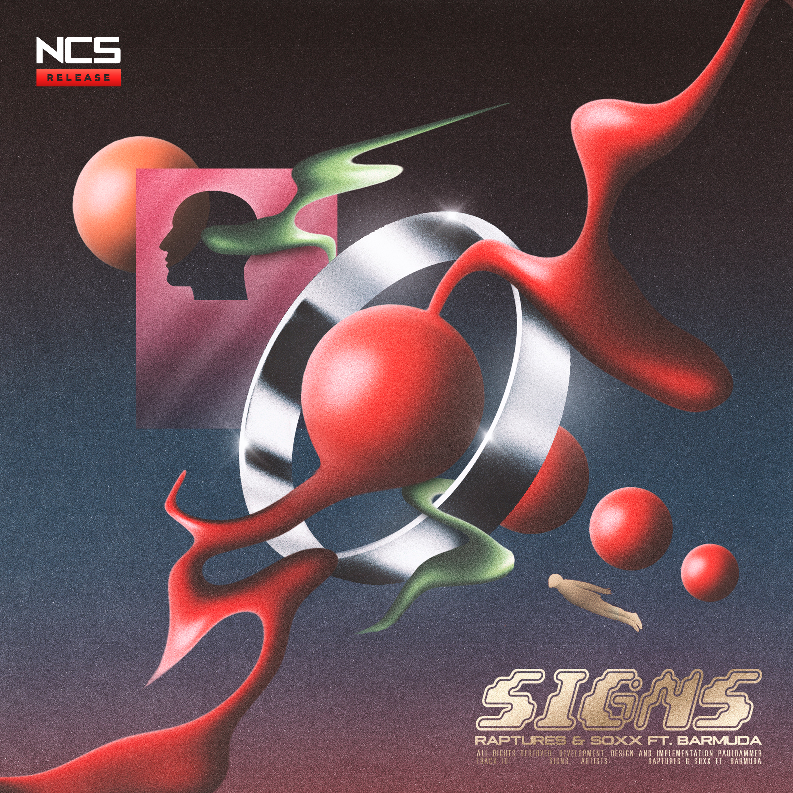 Signs (feat. Barmuda) - Single