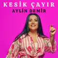 Kesik Çayır