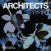 Architects - Broken Mirror (Daniel Joseph Remix) artwork