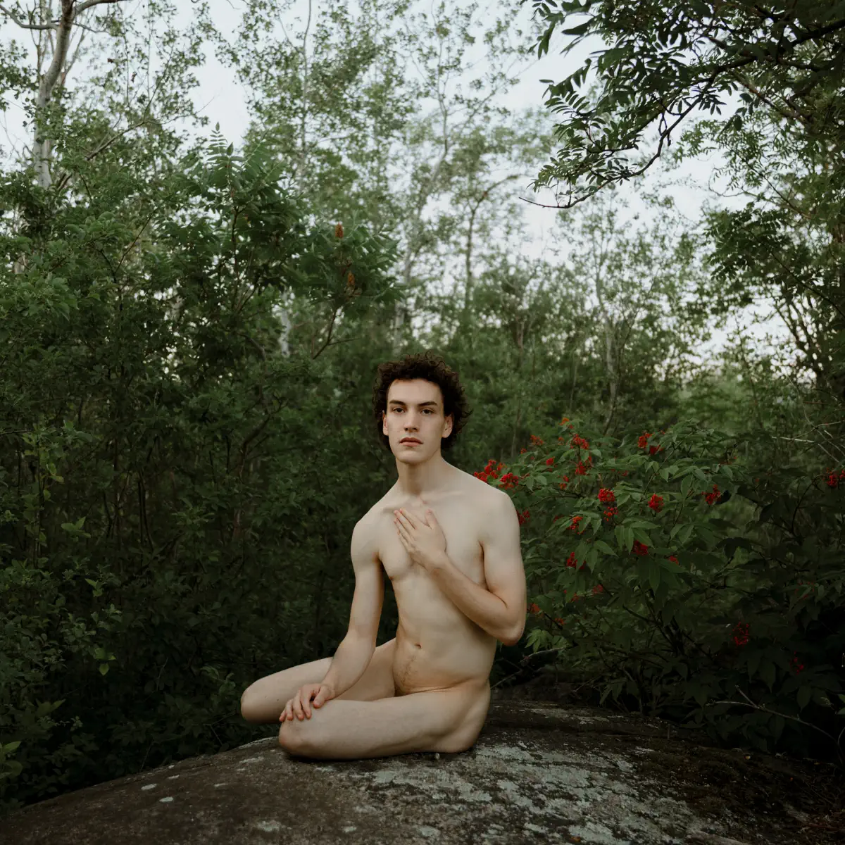 Nat Harvie - New Virginity (2024) [iTunes Plus AAC M4A]-新房子