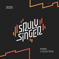2025 Purim Collection - Sruly Singer