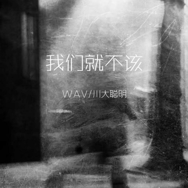 我们就不该 - Single
