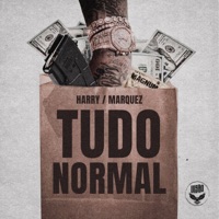 Tudo Normal (feat. Marques XZ) - Single - MC Harry & L12