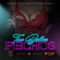 Tus Bellos Pechos - Single - Los Gallitos de Chihuahua & Alfonso Cota Y Los De La Sierra